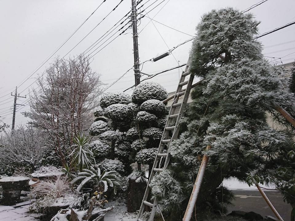 初雪！