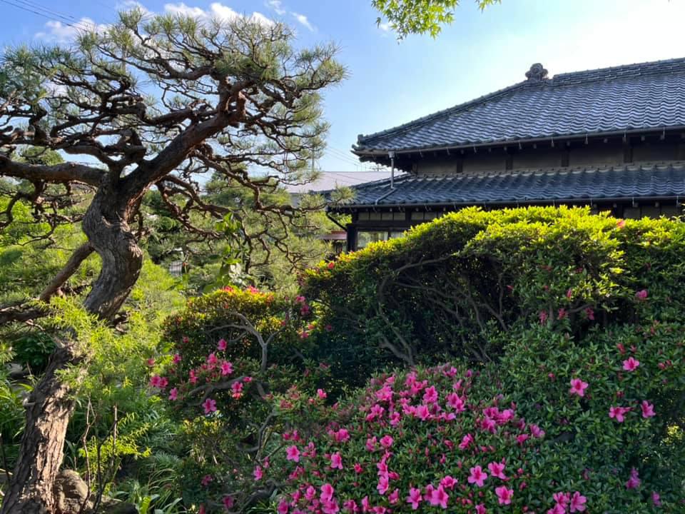 庭の剪定管理