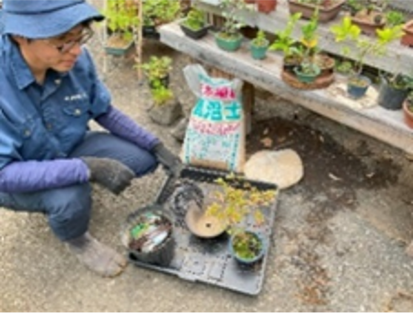 地域経済の創造（リユース）」