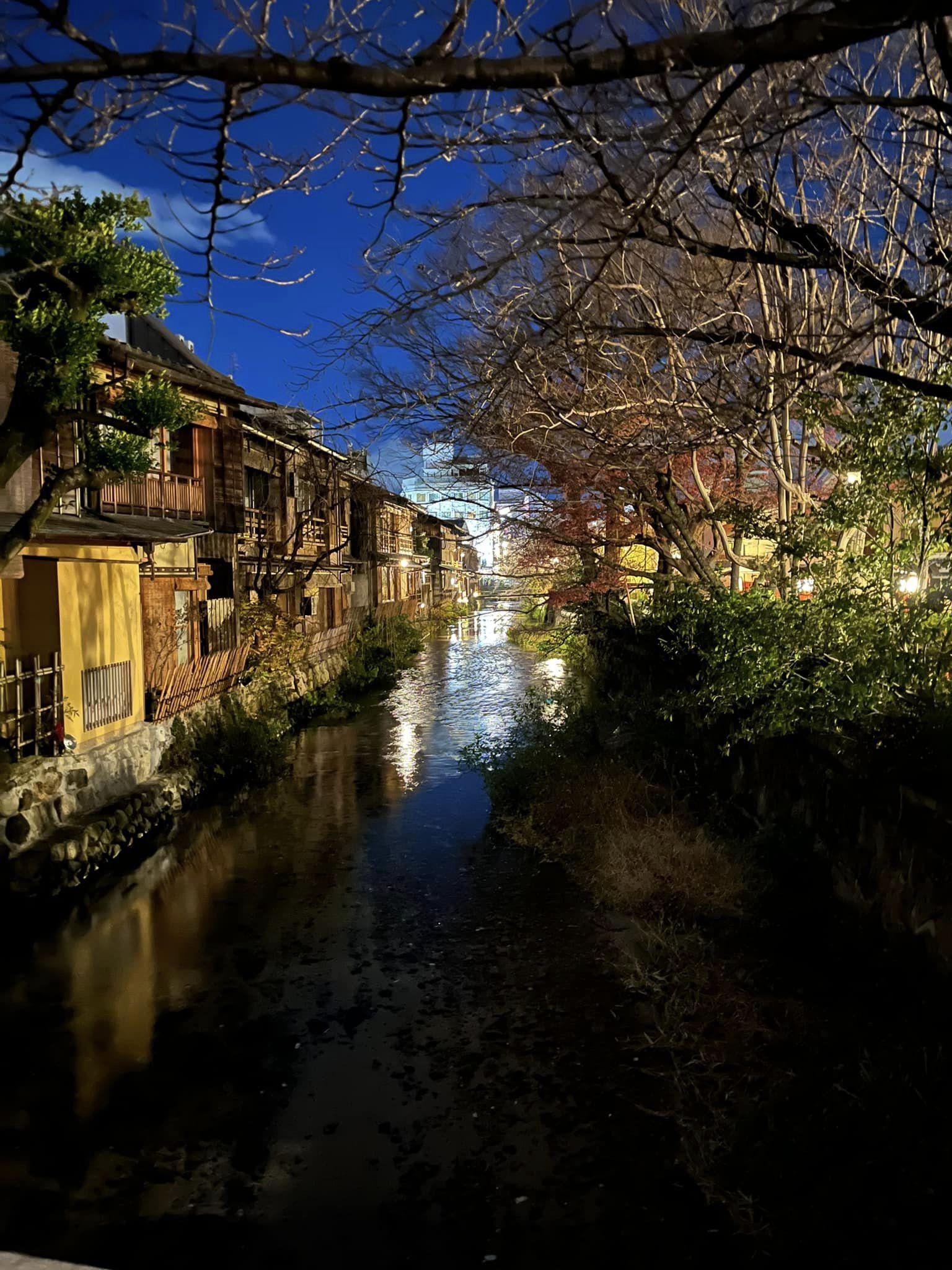 京都の赤松